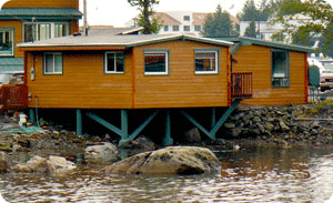 Cabin from the water