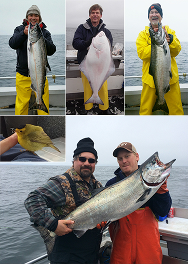 5 23 2015 Reeled in 30 lb king made friends with a Wilsons Warbler onboard