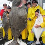 Giant 325 Pound Halibut Caught by the Pink Fishing Crew