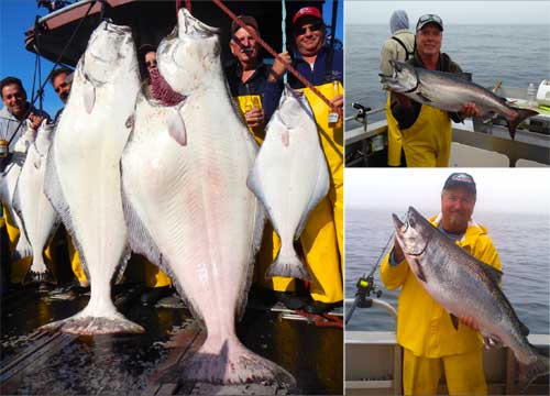 8 12 13 Rons 405 tops the year Sams 340lb is also a spectacular catch