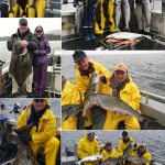 05-20-2017 Wet day and good fishing!