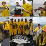 08-25-2017 Keepers and releaser halibut and blue shark!