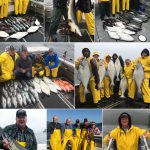 09-06-2017 Bountiful catches plus a large blue shark released unharmed!