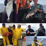 09-09-2017 Variety pack plus a third day releasing blue sharks!
