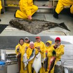 5-31-21 Petting a releaser halibut plus some good eaters on a rough day!