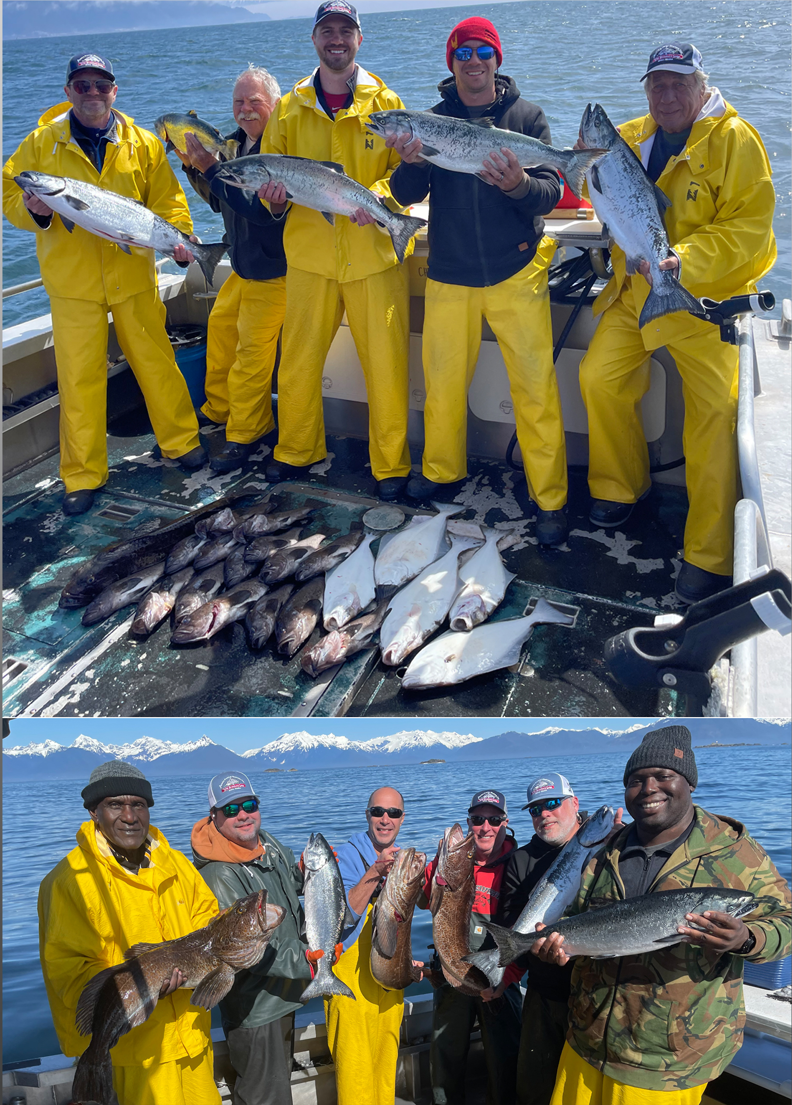 king salmon, halibut, lingcod