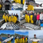 8-11-22 Some standout Kings on a sunny Sitka day!